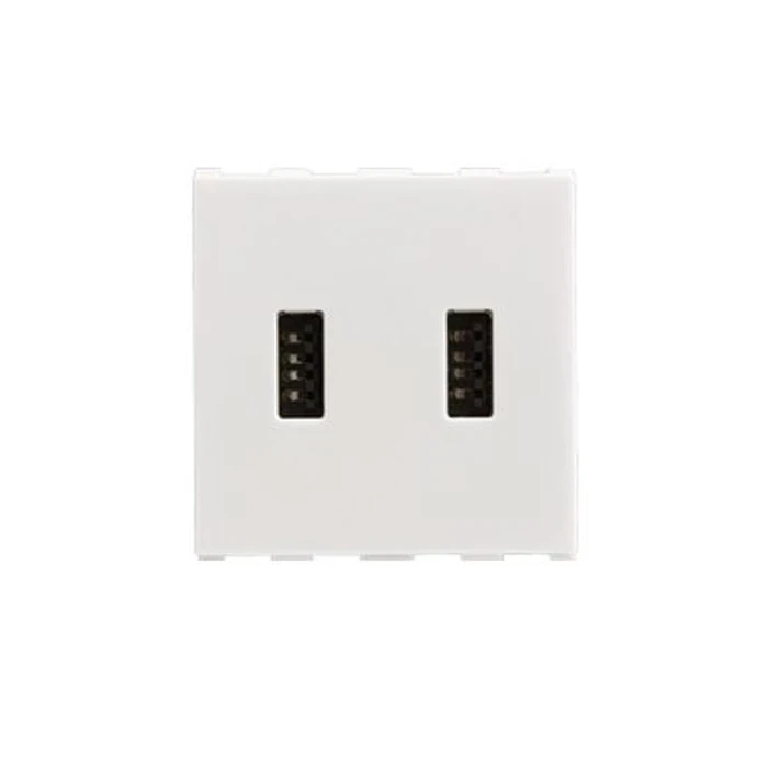 Anchor Roma 66710 Dual Port USB Charger | 2.0A 5V DC Power Logic | CRS Certified | 2-Module Modular | Flame Retardant Shield