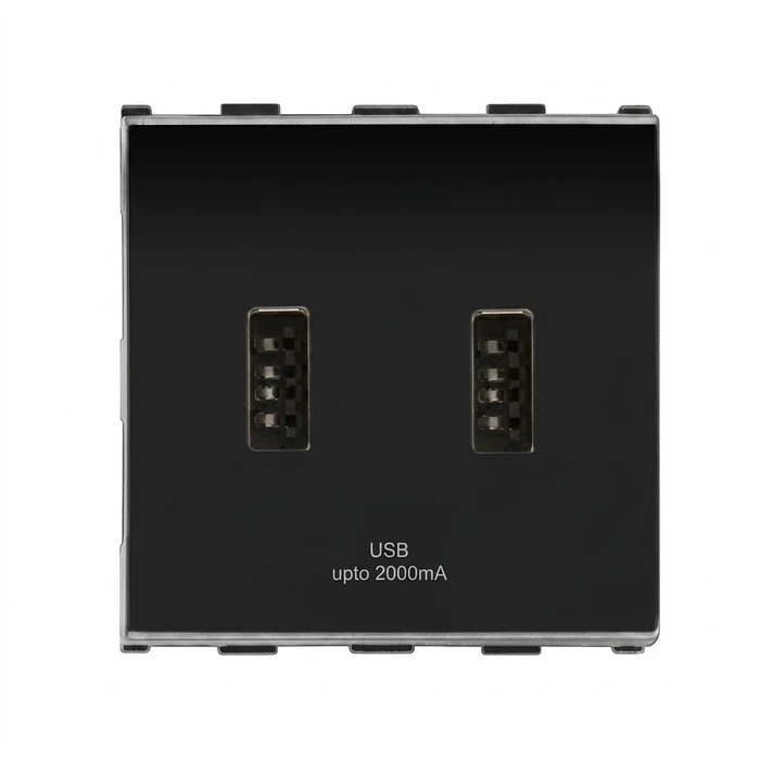 Anchor Roma Urban Dual Port USB Charger | In-Wall Concealed 5V 2.0A Power Module for Bedside, Desks & Hospitality | 66710B (2M)