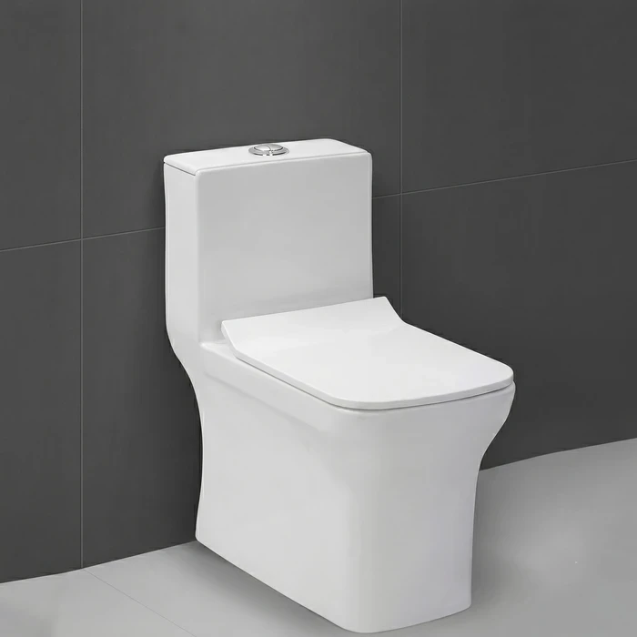 Toyo 21255 White One Piece Closet 4" Rough-in | Wash Down Single Piece WC | PP Soft Close Heavy Seat Cover & Superflow Dual Flush Toilet | 645x355x725mm